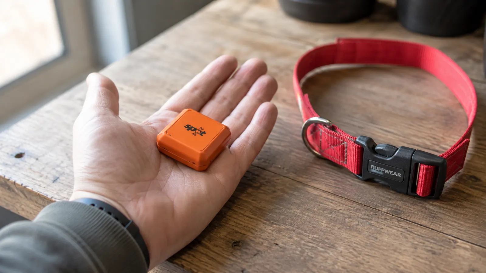 Tractive GPS Dog Tracker Honest Review: The Subscription Costs and Dead Zones They Don't Advertise