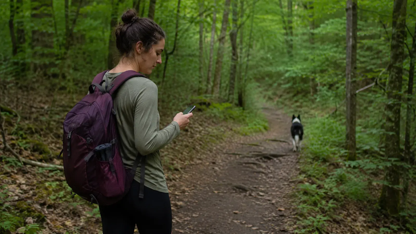 Dog owner checking phone GPS map app outdoors while their dog runs ahead on a hiking trail